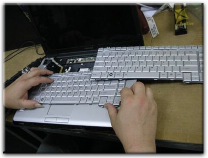 Ремонт клавиатуры на ноутбуке Toshiba в Могилёве